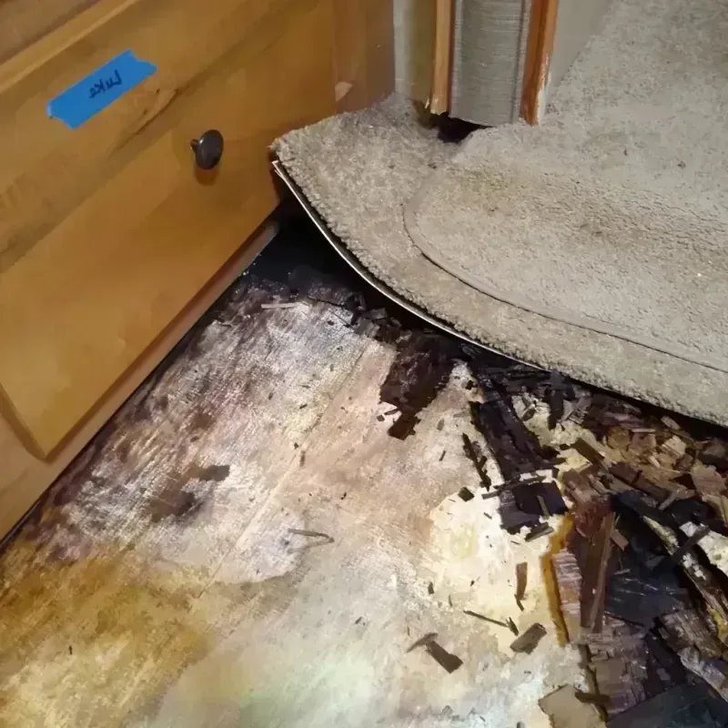 Wood Floor Water Damage in Cecilia, LA